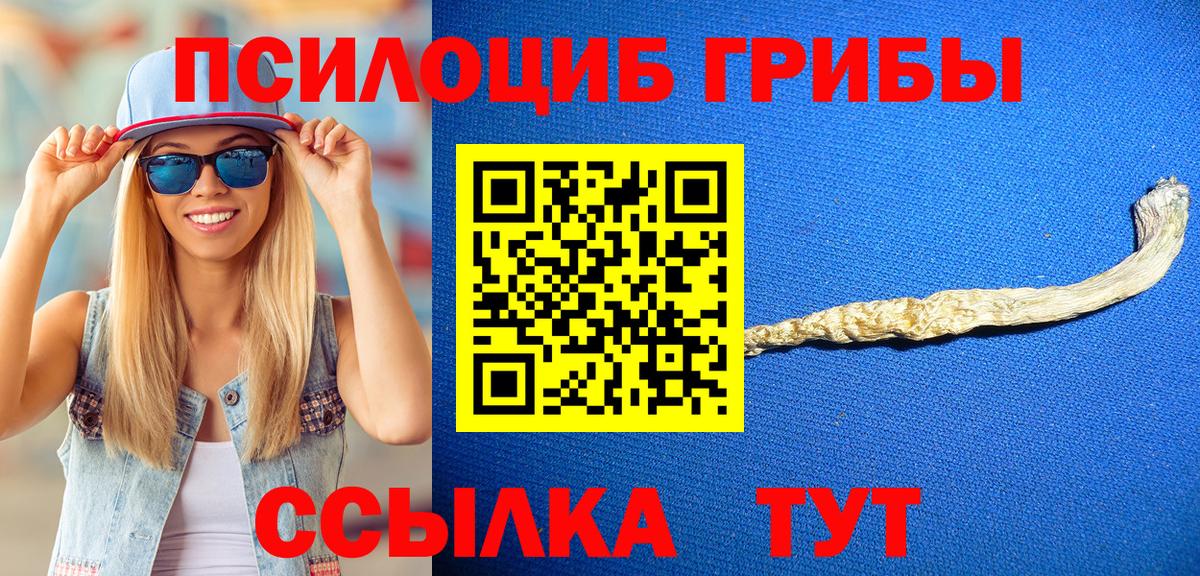 Чусовой  Галлюциногенные грибы мухоморы  купить закладку  Псилоцибиновые грибы GOLDEN TEACHER  Вход с VPN 